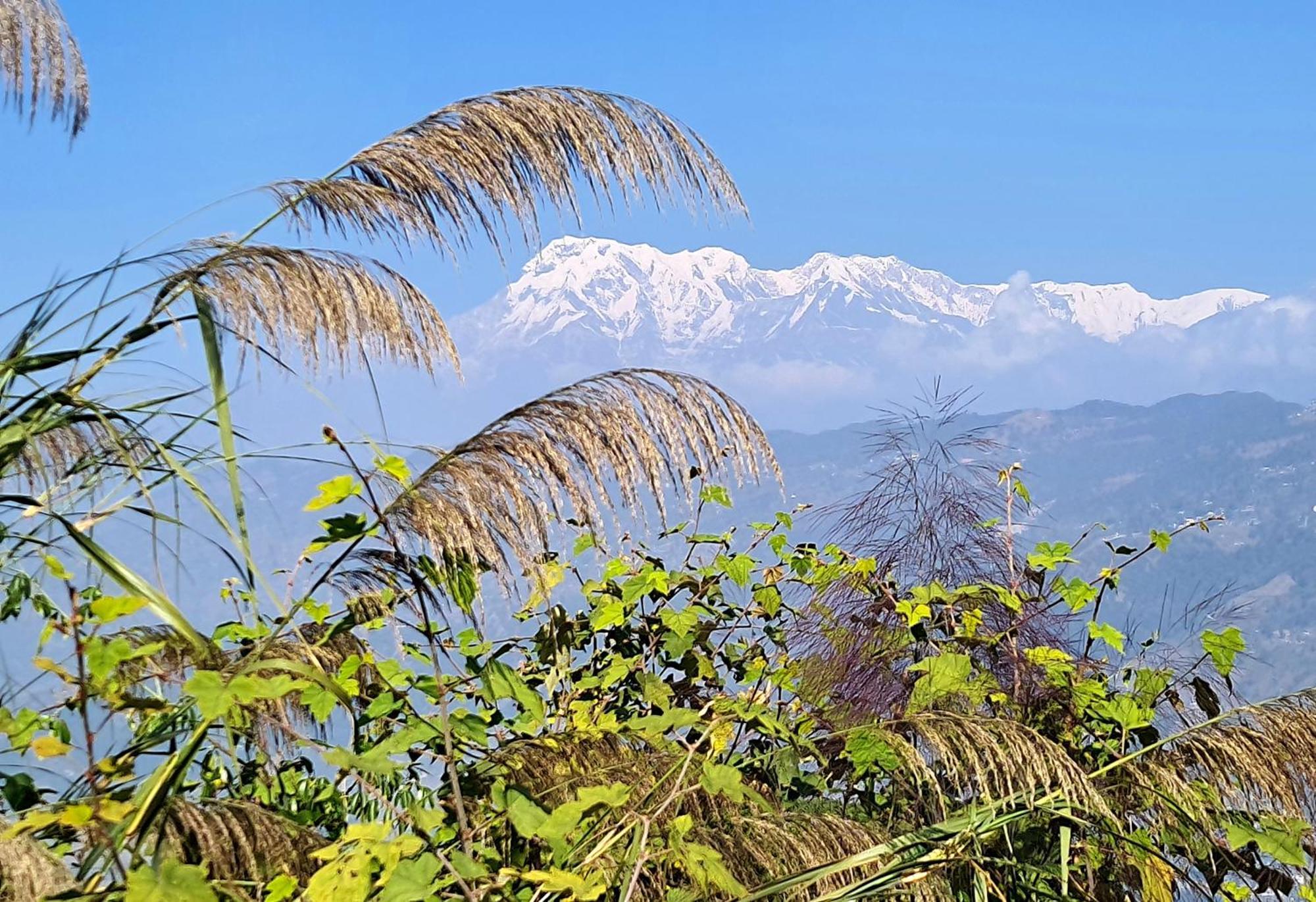 Peace Dragon Lodge Pokhara Eksteriør bilde