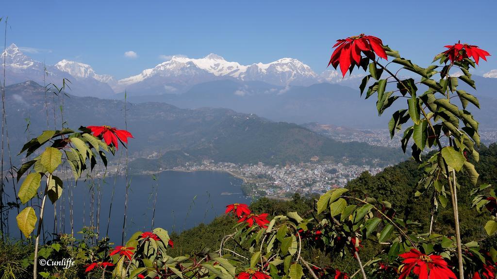 Peace Dragon Lodge Pokhara Eksteriør bilde